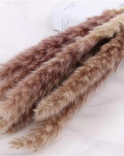 Charming White and Blush Dried Floral Reed Grass Arrangement - 15 Stems, 50-60cm for Home and Event Styling