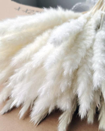 Charming White and Blush Dried Floral Reed Grass Arrangement - 15 Stems, 50-60cm for Home and Event Styling