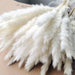 Charming White and Blush Dried Floral Reed Grass Arrangement - 15 Stems, 50-60cm for Home and Event Styling
