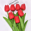 Red / 10PCS