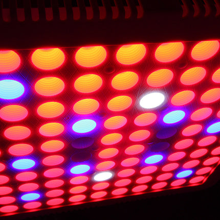 300W Full Spectrum LED Plant Grow Light – Red &amp; Blue Ratio for Indoor Plants