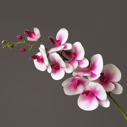 Peekaboo Studio Phalaenopsis Artificial Flower, 9 Heads, Home Decor