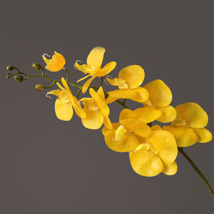 Peekaboo Studio Phalaenopsis Artificial Flower, 9 Heads, Home Decor