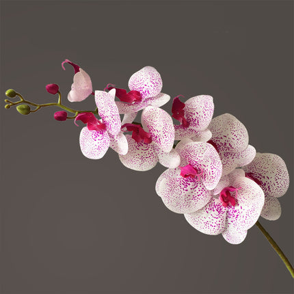 Peekaboo Studio Phalaenopsis Artificial Flower, 9 Heads, Home Decor