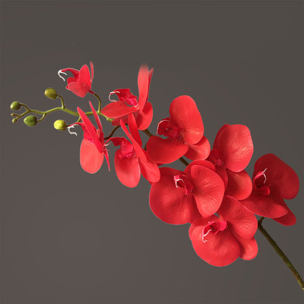Peekaboo Studio Phalaenopsis Artificial Flower, 9 Heads, Home Decor
