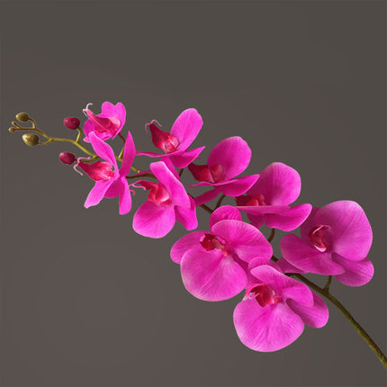 Peekaboo Studio Phalaenopsis Artificial Flower, 9 Heads, Home Decor