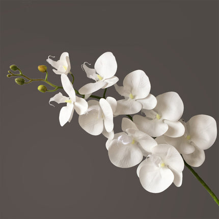 Peekaboo Studio Phalaenopsis Artificial Flower, 9 Heads, Home Decor