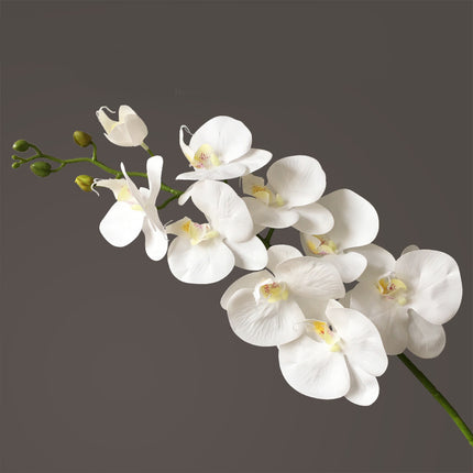 Peekaboo Studio Phalaenopsis Artificial Flower, 9 Heads, Home Decor