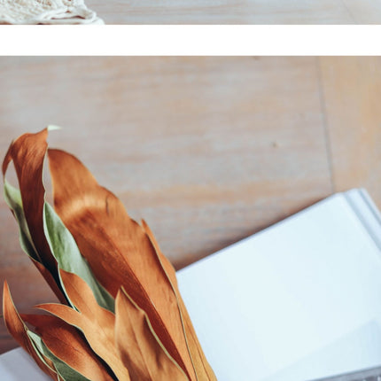 Peekaboo Studio Double-Sided Dried Flower Bouquet - Japanese Retro Sty