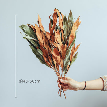 Peekaboo Studio Double-Sided Dried Flower Bouquet - Japanese Retro Sty