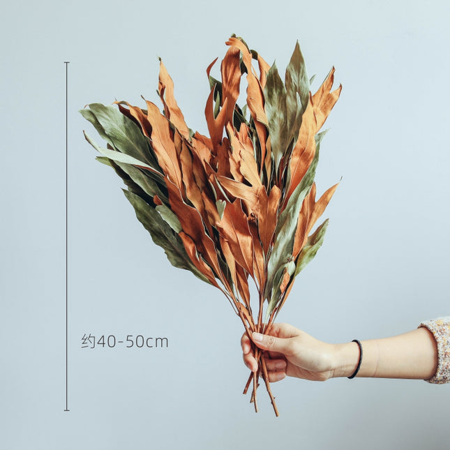 Peekaboo Studio Double-Sided Dried Flower Bouquet - Japanese Retro Sty