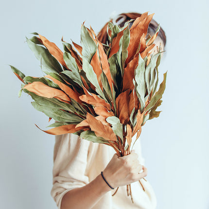 Peekaboo Studio Double-Sided Dried Flower Bouquet - Japanese Retro Sty