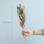 Photo Color
