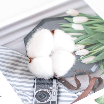 Peekaboo Studio Fire-Free Cinnamon Aroma Diffuser with Natural Pine Co