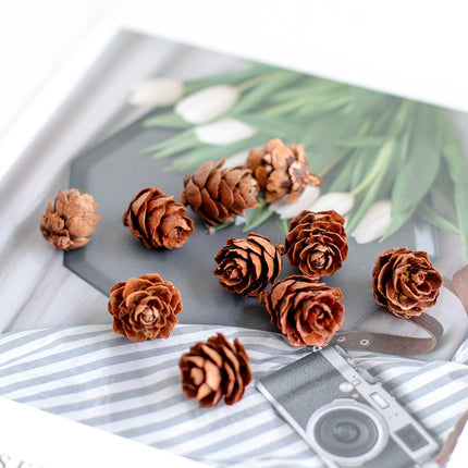 Peekaboo Studio Fire-Free Cinnamon Aroma Diffuser with Natural Pine Co