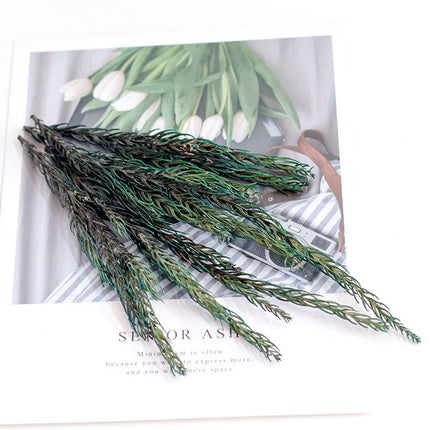 Peekaboo Studio Fire-Free Cinnamon Aroma Diffuser with Natural Pine Co