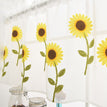 Daisy / 0.8X0.5M