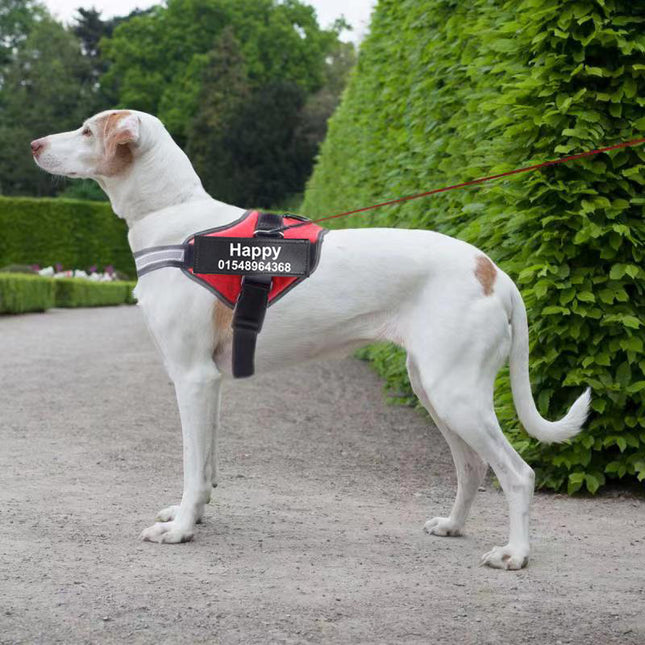 Peekaboo Studio Custom Reflective No-Pull Dog Harness, Adjustable Fit