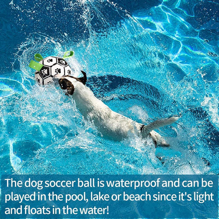 Peekaboo Studio Interactive Inflatable Dog Soccer Ball - Durable & Fun