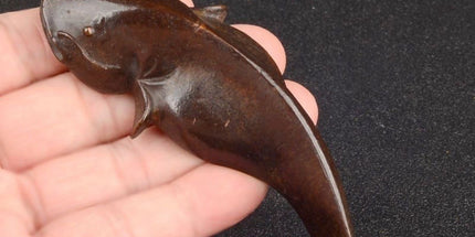 2492739517e8bb1164c51029322295ed