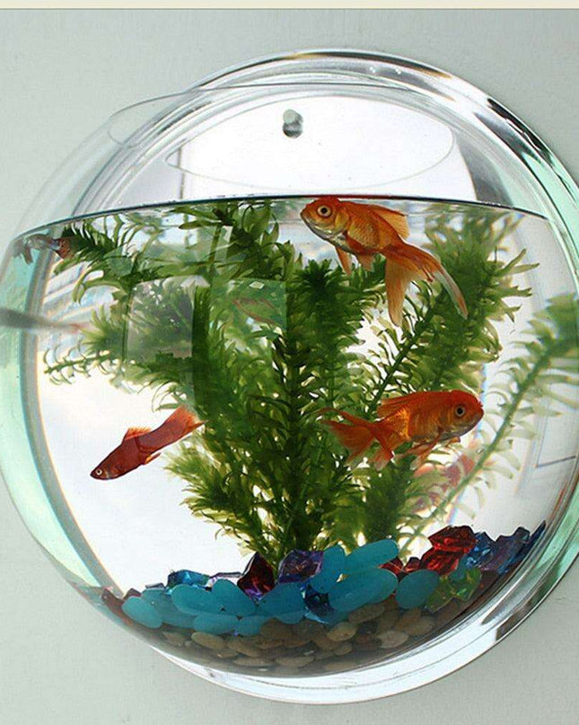 Wall-Mounted 15cm Clear Acrylic Aquarium for Modern Home Aesthetics