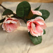 Peach pink / 1pc