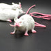 Realistic Small Rat Prank Toy for Halloween Haunts