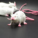 Spine-Chilling Realistic Small Rat Prank Toy for Halloween Parties