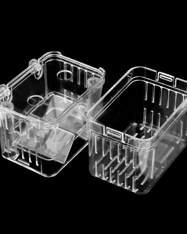 Aquarium Oasis: Ultimate Fish Breeding and Incubation System!