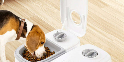2-in-1 Gravity Pet Feeder - Eco-Friendly & Convenient