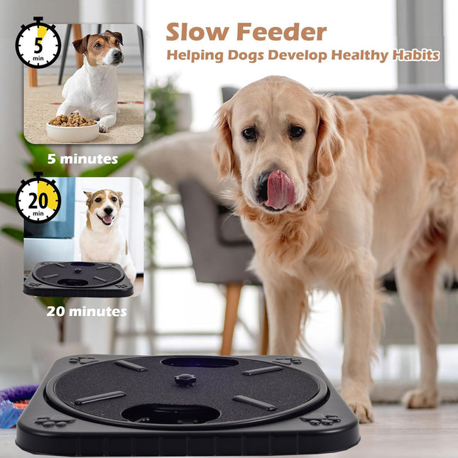 Dog Scratching Board And Slow Feeding Toy Nail File Puzzle For Dogs
