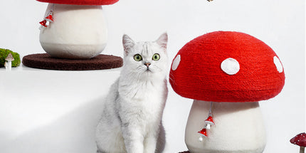 Cat Scratch Board Mushroom Red Umbrella Scratching Board Cat Toy cat-scratch-board-mushroom-red-umbrella-scratching-board-cat-toy Arts, Crafts & Sewing›Art Supplies›Paint