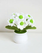 Little Daisy White Flower Gree