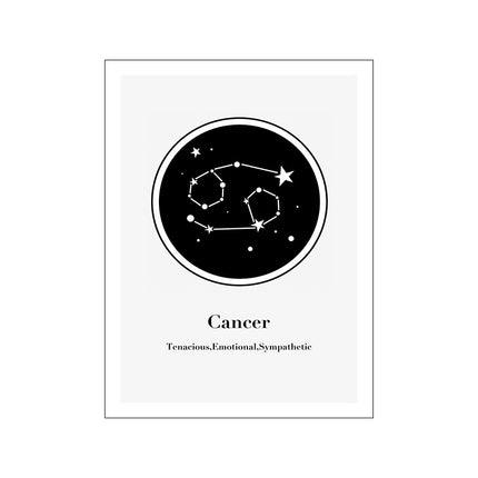 12 Constellation Canvas Art Print Mural Poster