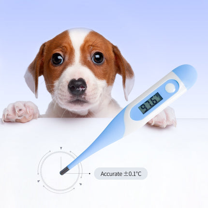 T15S Vet Digital Thermometer For Cats And Dogs Quick Reading