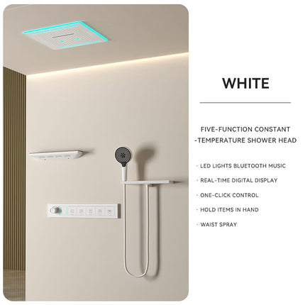 Maison Single-Person Hidden Shower System with Amb