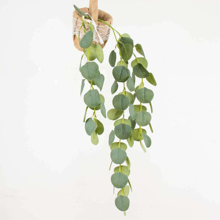 AliKopy 3 Pack 41" Real Touch Eucalyptus Sprays - Silk Silver Dollar L