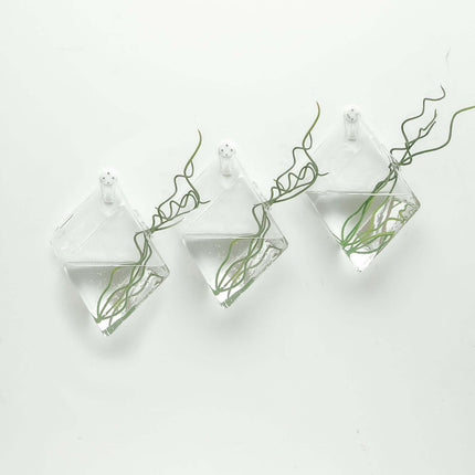 AliKopy 3-Pack Glass Wall Vases - Modern Rhombus Design Planters