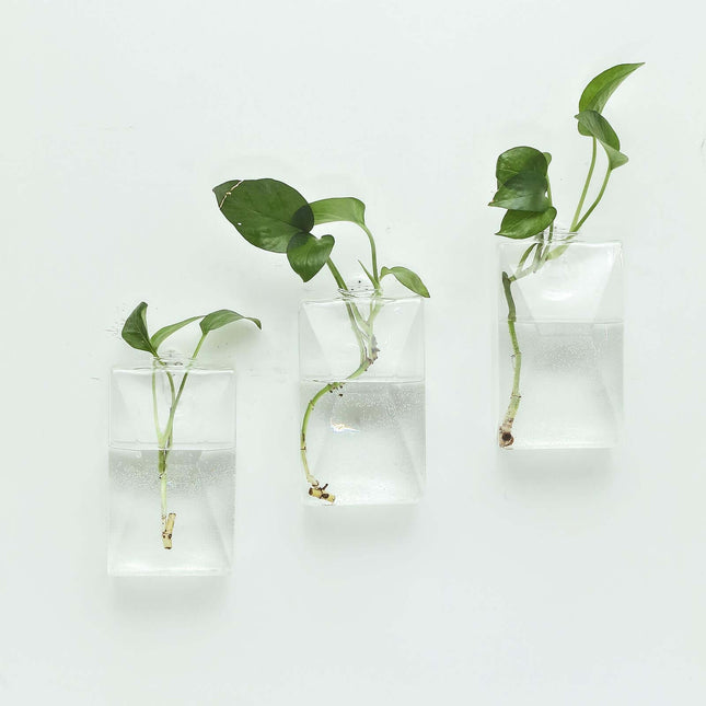 AliKopy 3-Pack Trapezoid Glass Wall Vases - Modern Indoor Planters