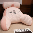 Pink Rabbit Ice Bean Material / 60x 40cm
