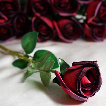 AliKopy 31" Long Stem Artificial Silk Roses, 24 Pcs, Red & Black Tips