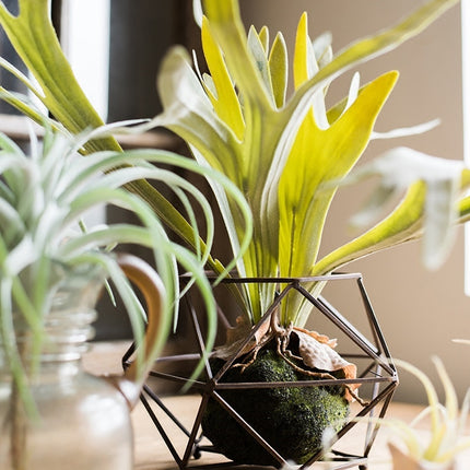 Peekaboo Studio Large Artificial Staghorn Fern - Lifelike & Durable