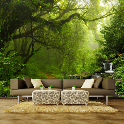 Peekaboo Studio TV Background Wallpaper - Customizable & High-Quality