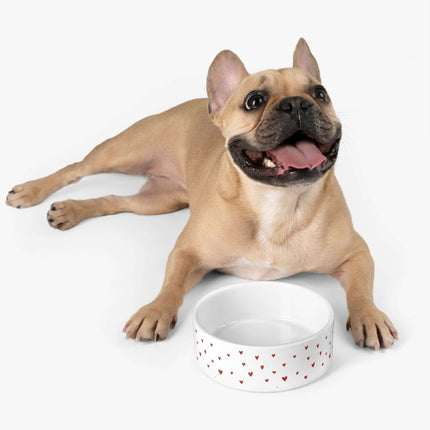 Customized Artisan Ceramic Pet Bowl with Distinctive Artwork