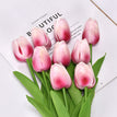 Rose Red / 10PCS