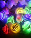 Multi Rose / 1.5m 10 leds