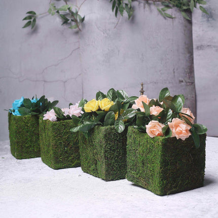 AliKopy 4-Pack 6" Square Planter Boxes with Green Preserved Moss Linin