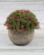 Milanese Grass (Fruit Red)