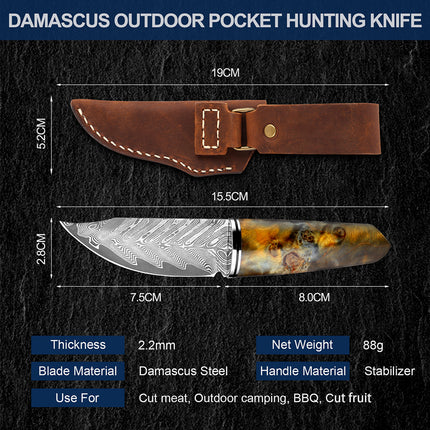3.5 Inch Damascus Steel Fruit Hunting Knife Stabilized Wood Handle
