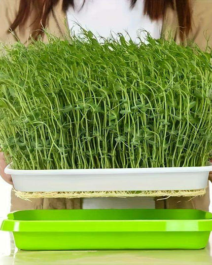 5-Pack Hydroponic Seed Germination Trays for Indoor & Outdoor Plant Growth (Lid-Free)